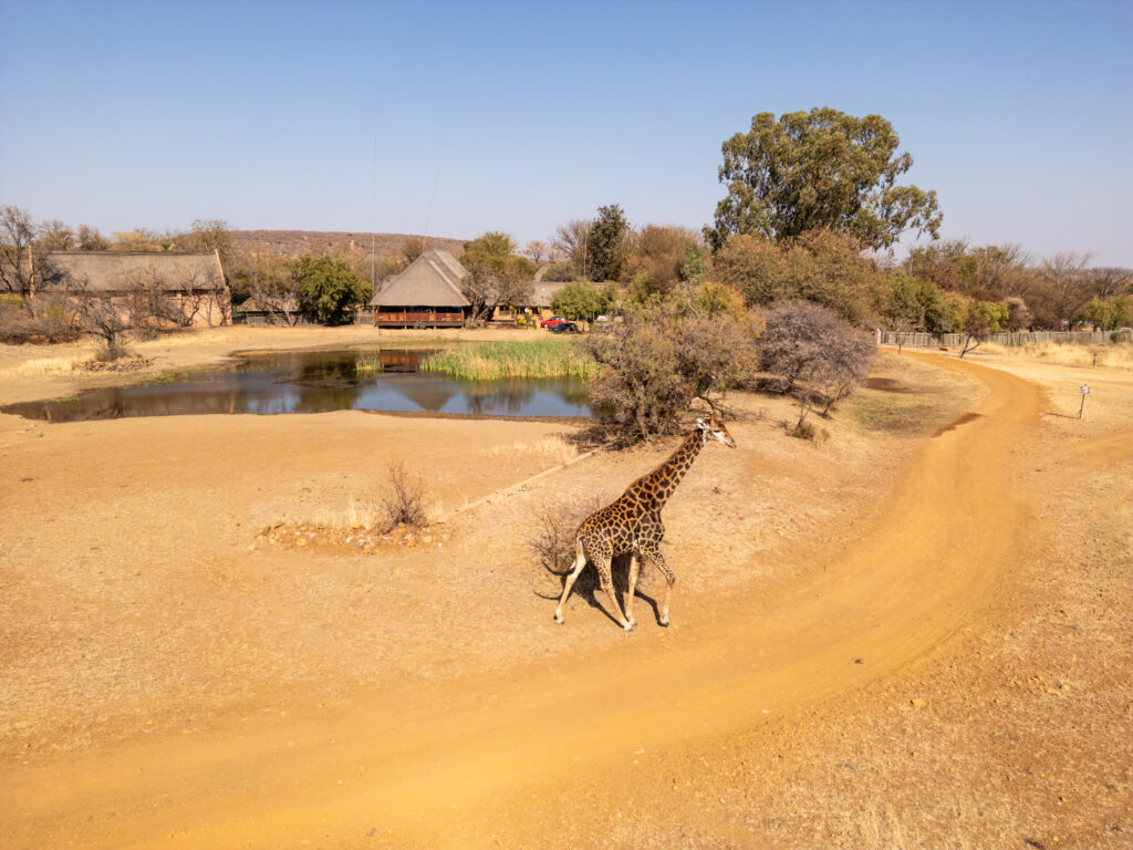 game reserve in hammanskraal