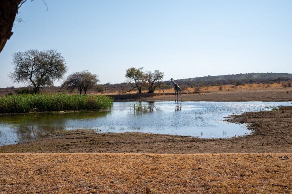 luxury game lodges pretoria