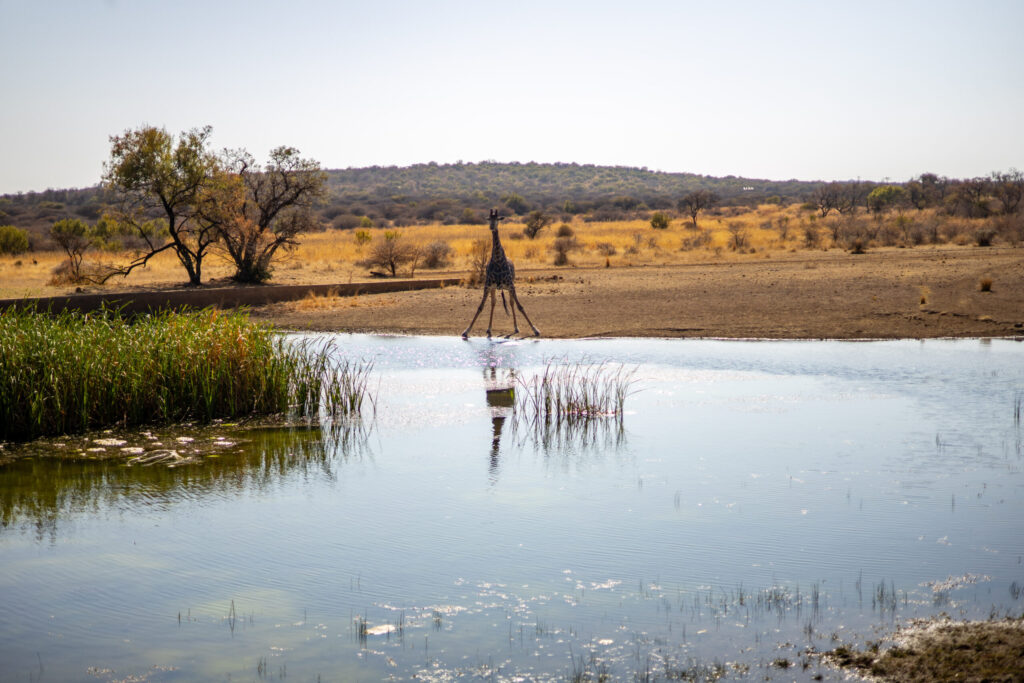 private game lodges gauteng