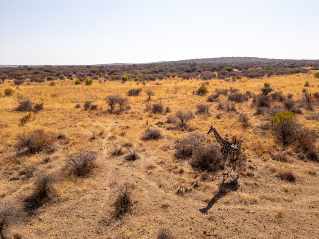 top rated game lodges pretoria