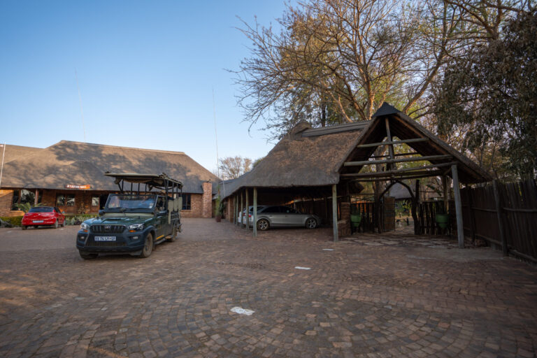 Activities in dinokeng for adults